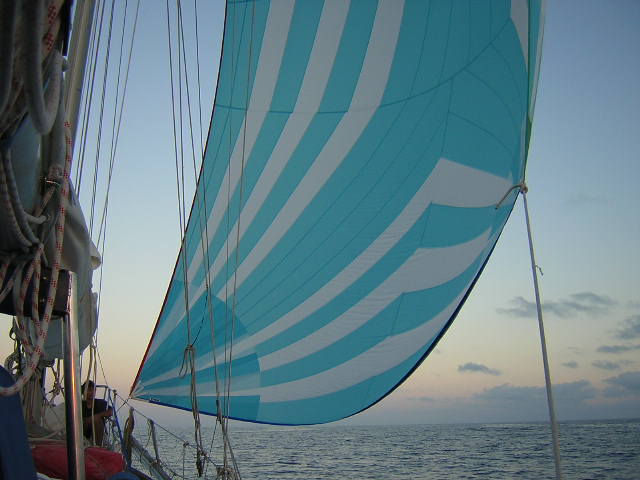 B030 Spinnaker auf See zwischen Madeira und Lanzarote 05.2004